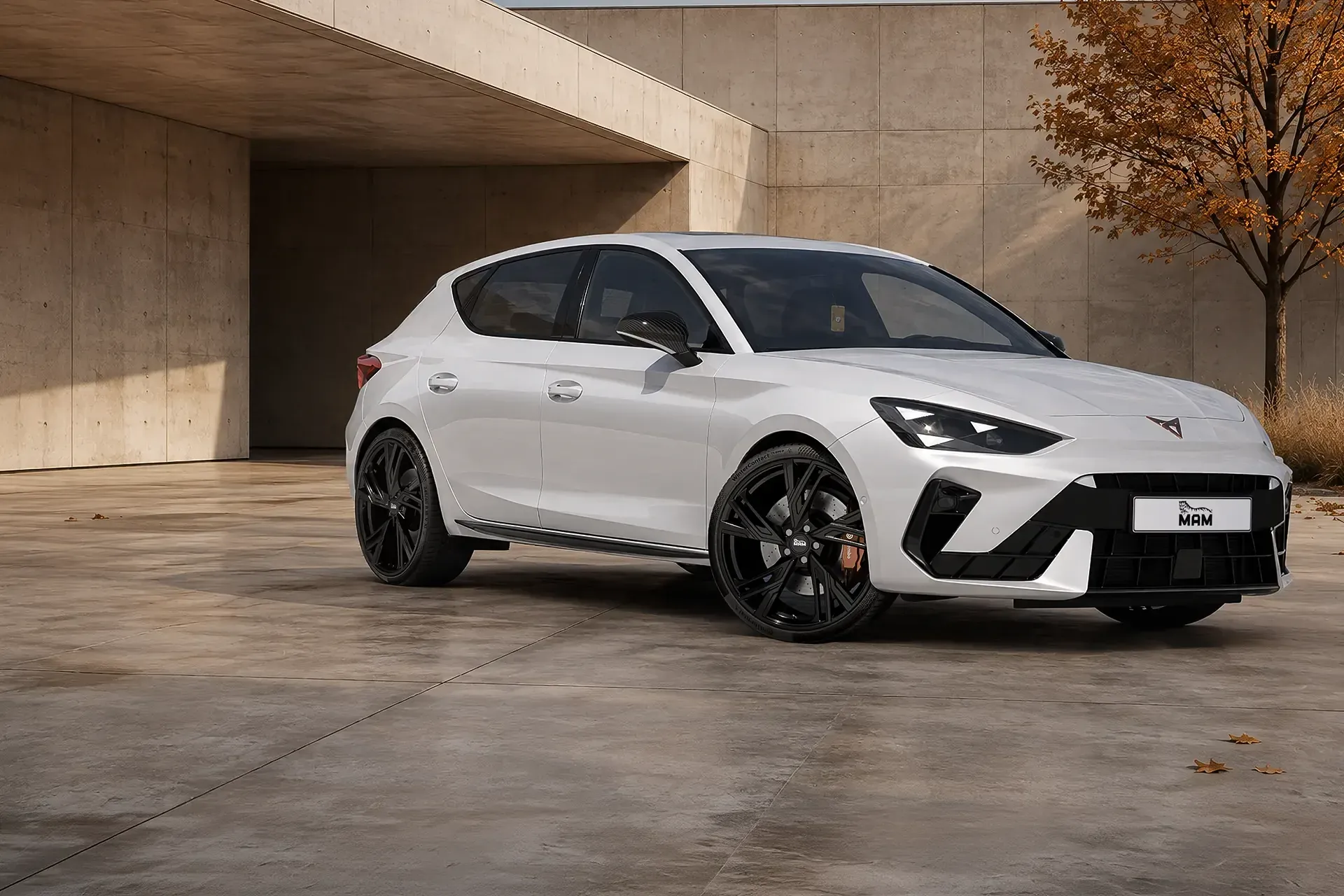 Cupra Leon Sportstourer mit MAM RS5 in black painted
