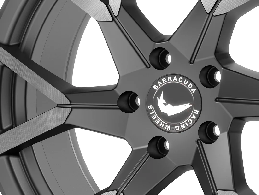 Barracuda Tzunamee Evo