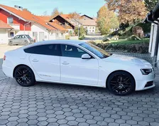 Customer photo from : 